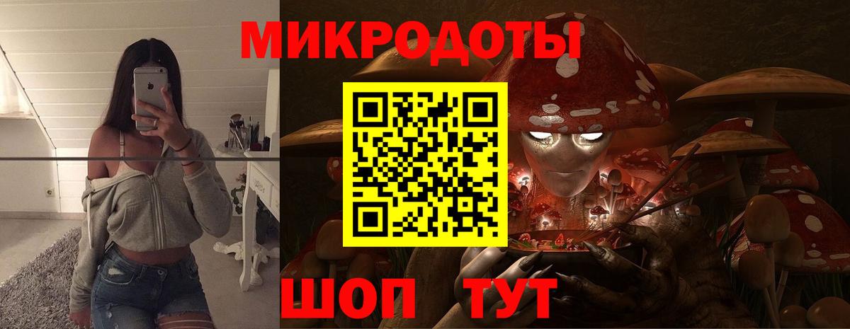 Нарткала  Псилоцибиновые грибы MAGIC MUSHROOMS  Вход с VPN 